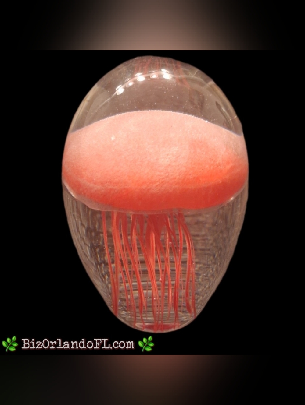 VINTAGE: Handmade Dynasty Gallery Art Glass Jellyfish Collectible Paperweight 4"